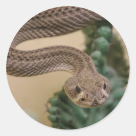 ratelslang ronde sticker