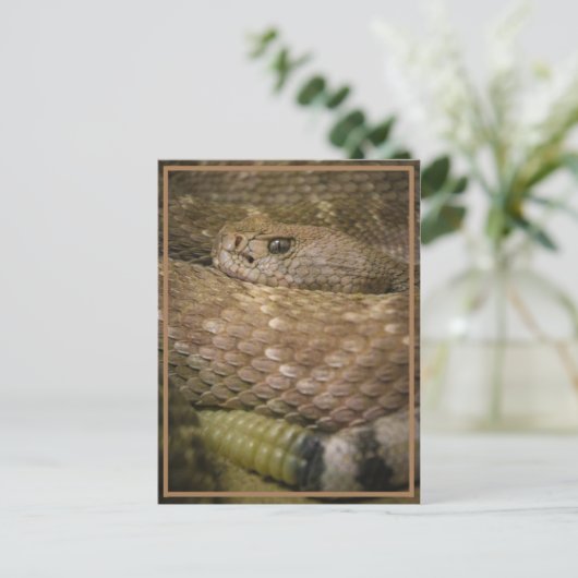 rateltje briefkaart (Staand voorkant)