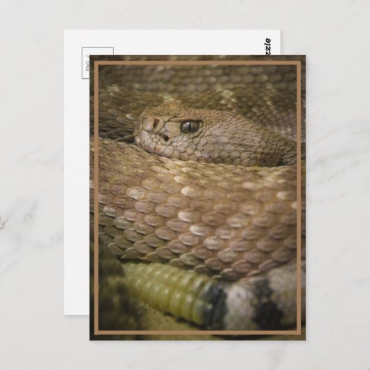 rateltje briefkaart (Voorkant / Achterkant)