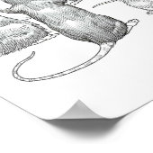 Ratenwereld Poster (Hoek)