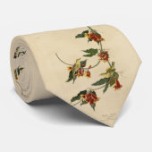 Rathbone (geel) Warbler Audubon Birds of America Stropdas (Opgerold)