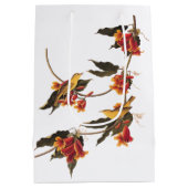 Rathbone's Warbler Song Bird op Crossvine Medium Cadeauzakje (Achterkant)