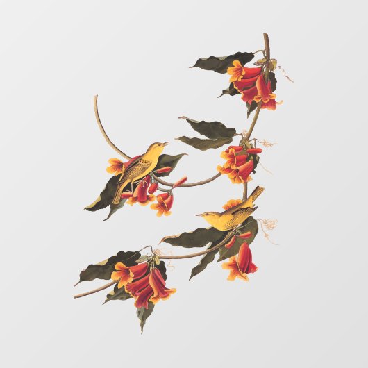 Rathbone's Warbler Song Bird op Crossvine Raamsticker (Vel)