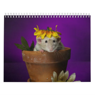 Ratkalender 2011 kalender