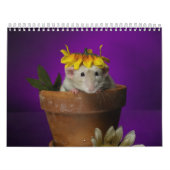 Ratkalender 2011 kalender (Hoes)