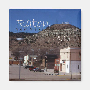 Raton New Mexico State Souvenir Fridge Magnet