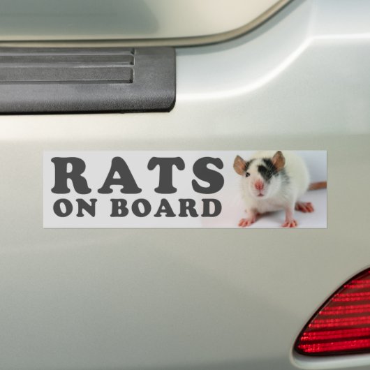 Rats on board bumpersticker (Op auto)