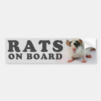 Rats on board bumpersticker