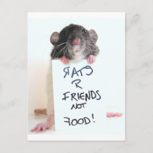 Rats R Friends Not Food 2 Briefkaart