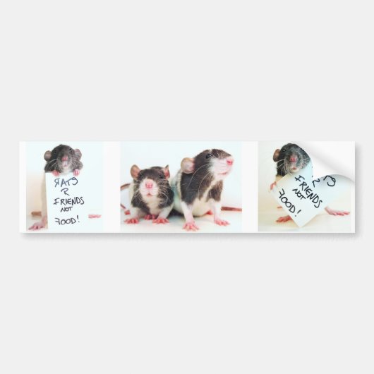 Rats R Friends Not Food 2 Bumpersticker (Voorkant)