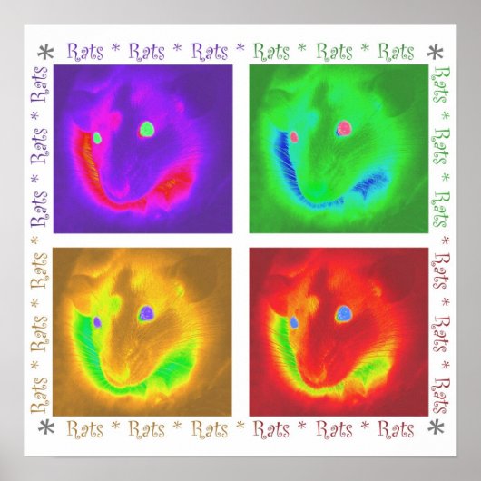 Rats Rats Rats Poster (Voorkant)