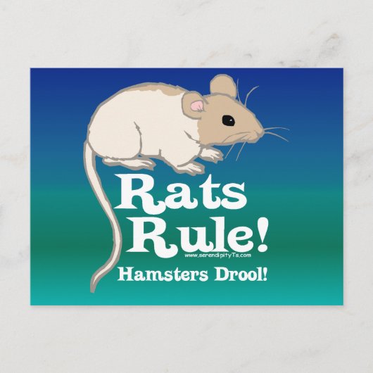 Rats Rule! Briefkaart (Voorkant)