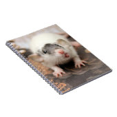 Rat's tongue. notitieboek (Rechterzijde)