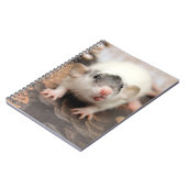 Rat's tongue. notitieboek (Linkerzijde)