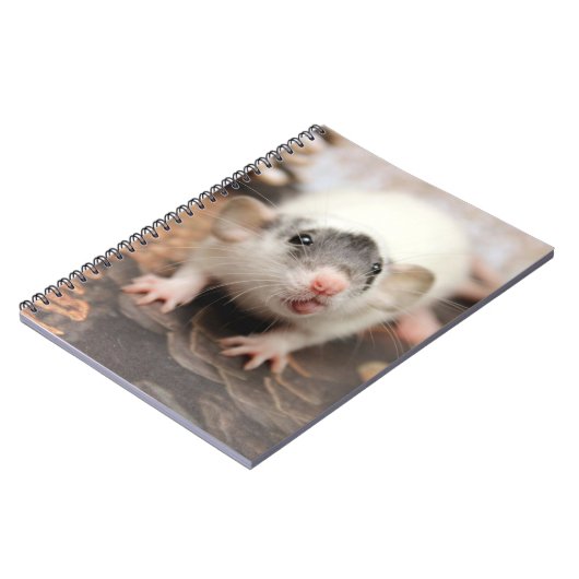 Rat's tongue. notitieboek (Linkerzijde)