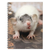 Rat's tongue. notitieboek (Voorkant)