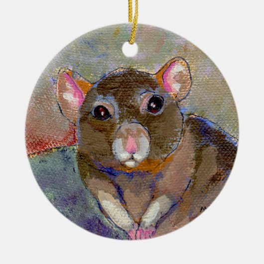 Ratschilderij Ik heb problemen met leuke, gevoelig Keramisch Ornament (Voorkant)