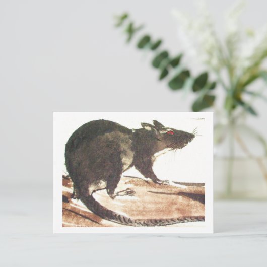 Ratte No. 01 * Rat * Ratten-Postkarten* Rat-Art-Po Briefkaart (Staand voorkant)