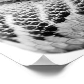 Rattelslang bosgebied modern portret zwart wit poster (Hoek)