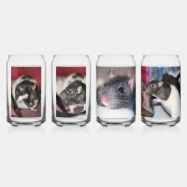 Ratten Blikvorm Glas
