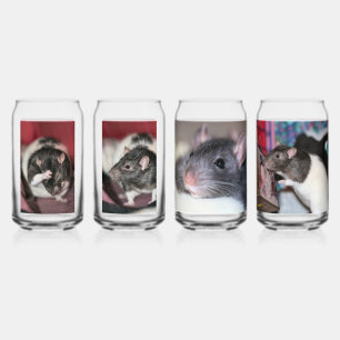 Ratten Blikvorm Glas