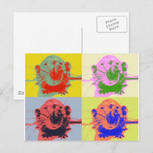 Ratten Briefkaart (Voorkant / Achterkant)