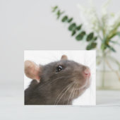 Ratten!! Briefkaart (Staand voorkant)