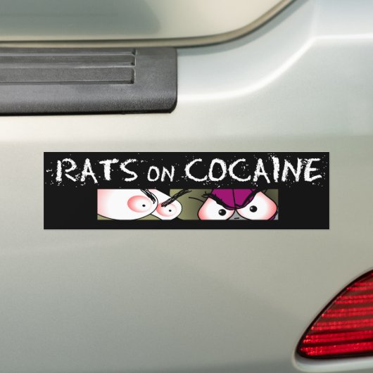 Ratten Bumpersticker (Op auto)