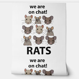 Ratten Dier We zijn op chat Grappige Ratten Behang