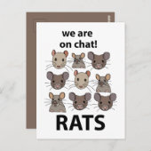 Ratten Dier We zijn op chat Grappige Ratten Briefkaart (Voorkant / Achterkant)