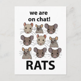 Ratten Dier We zijn op chat Grappige Ratten Briefkaart