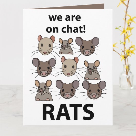 Ratten Dier We zijn op chat Grappige Ratten Kaart (Gele Bloem)