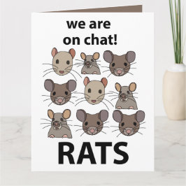 Ratten Dier We zijn op chat Grappige Ratten Kaart