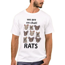 Ratten Dier We zijn op chat Grappige Ratten