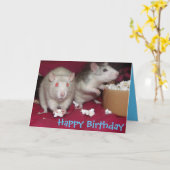 Ratten feesten verjaardagskaart kaart (Gele Bloem)