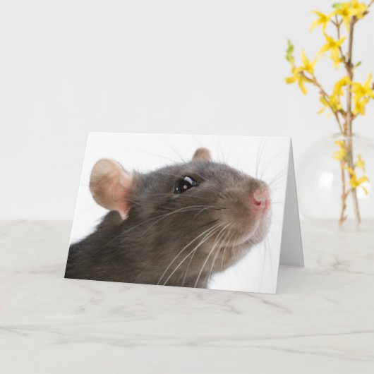 Ratten!!! Kaart (Gele Bloem)