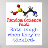Ratten lachen wanneer ze getikt zijn - Wetenschaps Poster (Voorkant)