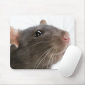 Ratten!! Muismat (Met muis)