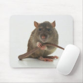 Ratten!! Muismat (Met muis)