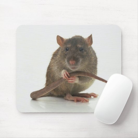 Ratten!! Muismat (Met muis)