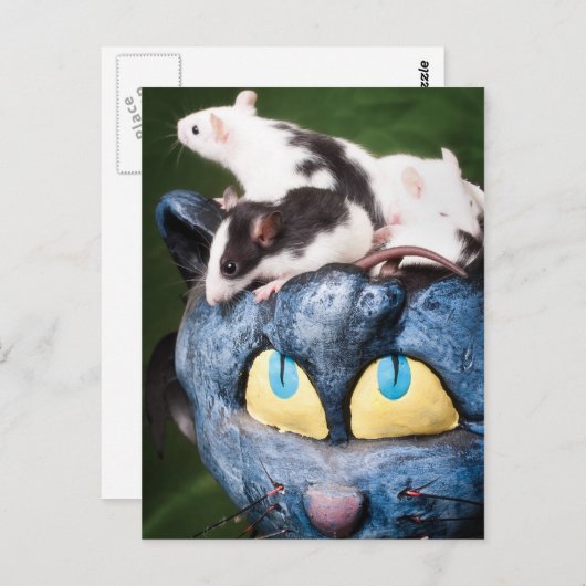 Ratten op het Briefkaart van de hersenen (Voorkant / Achterkant)