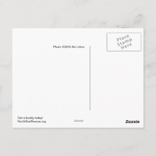 Ratten op het Briefkaart van de hersenen (Achterkant)