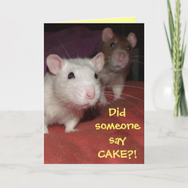 Ratten praten wenskaart kaart