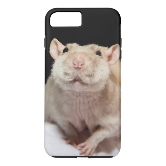 Ratten Telefoon Hoesje (Achterkant)