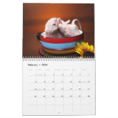Ratten van Aimee 2010 kalender (Feb 2026)