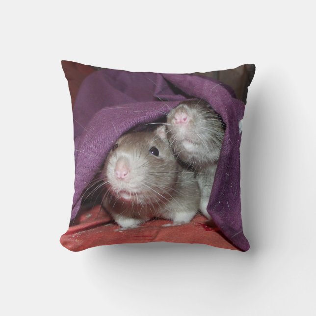 ratten verbergen Amerikaanse Mojo kussen (Voorkant)