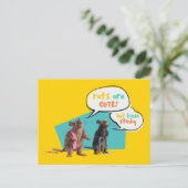 Ratten zijn Schattige, maar een beetje stinkend Briefkaart (Staand voorkant)