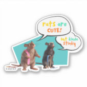 Ratten zijn Schattige, maar een beetje stinkend Sticker (Voorkant)