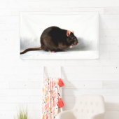 Rattenbracna Spandoek (Insitu)