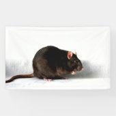 Rattenbracna Spandoek (Horizontaal)